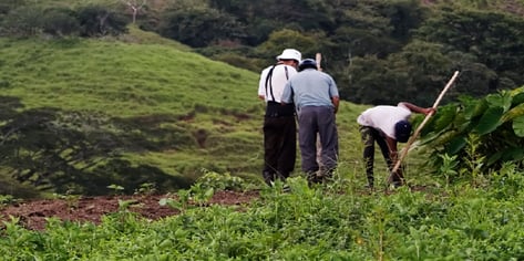three-men-farming-in-a-field