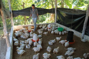Paula, Chicken Farm Entrepreneur