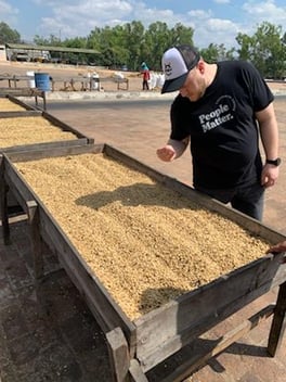 Matt reviewing coffee beans