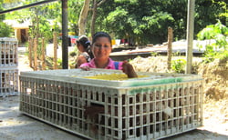 Laura's Story: Laura with a small chicken coop