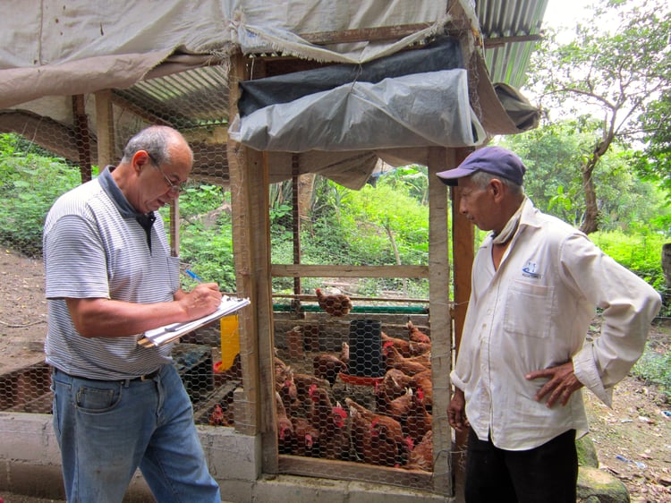 ClipBoardChickenCoop.jpg